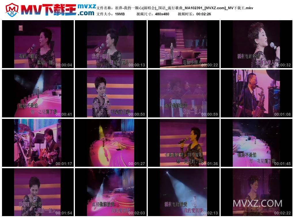 崔萍-我的一颗心(演唱会)_国语_流行歌曲_MA102391
